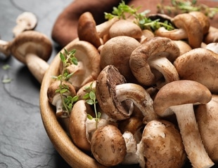 Are mushrooms an effective early dietary intervention for Alzheimer’s Disease?