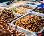 The past, present, and future of insects for human consumption