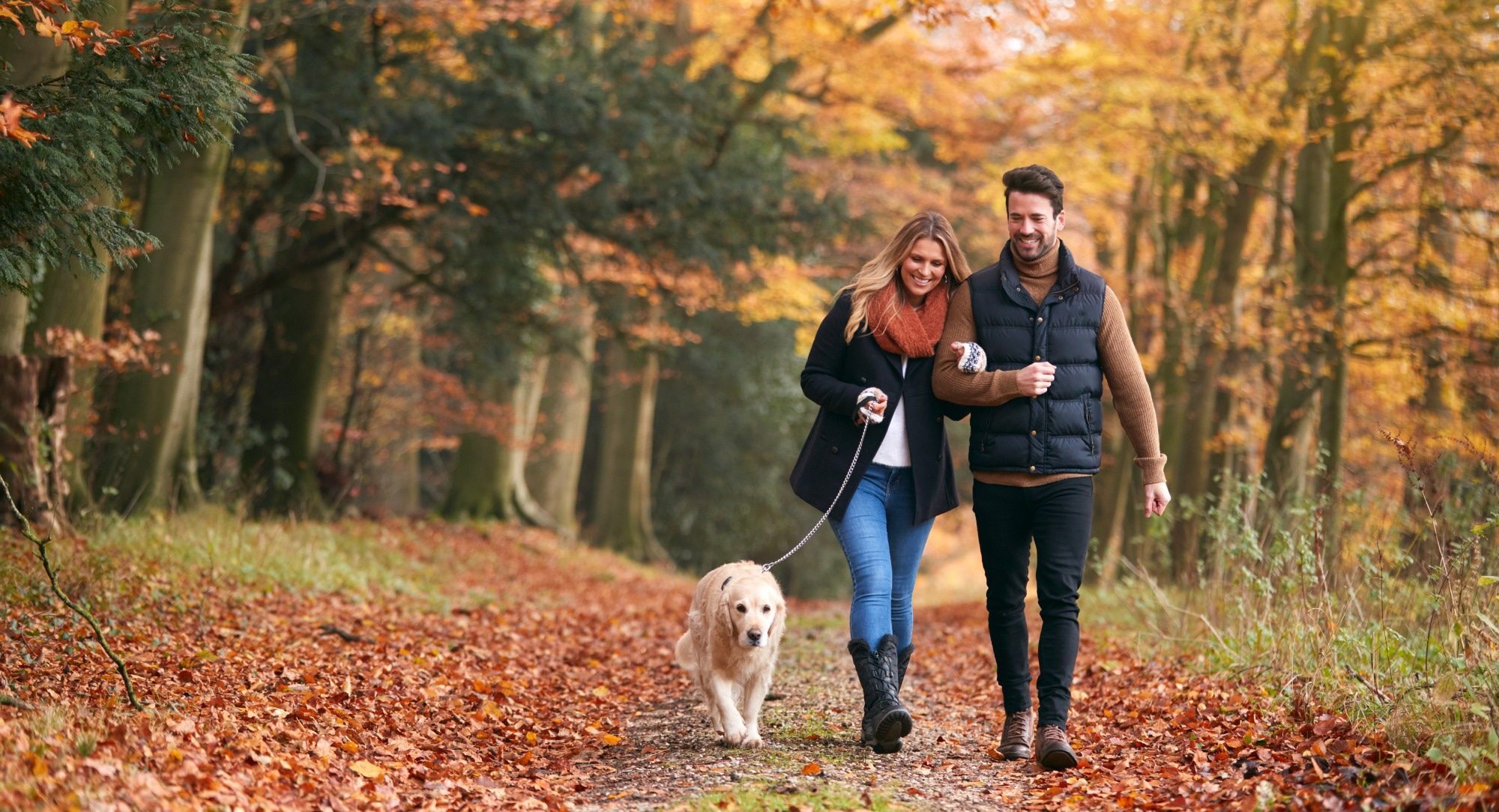 Study: Walk or be walked by the dog? The attachment role. Image Credit: Monkey Business Images/Shutterstock.com