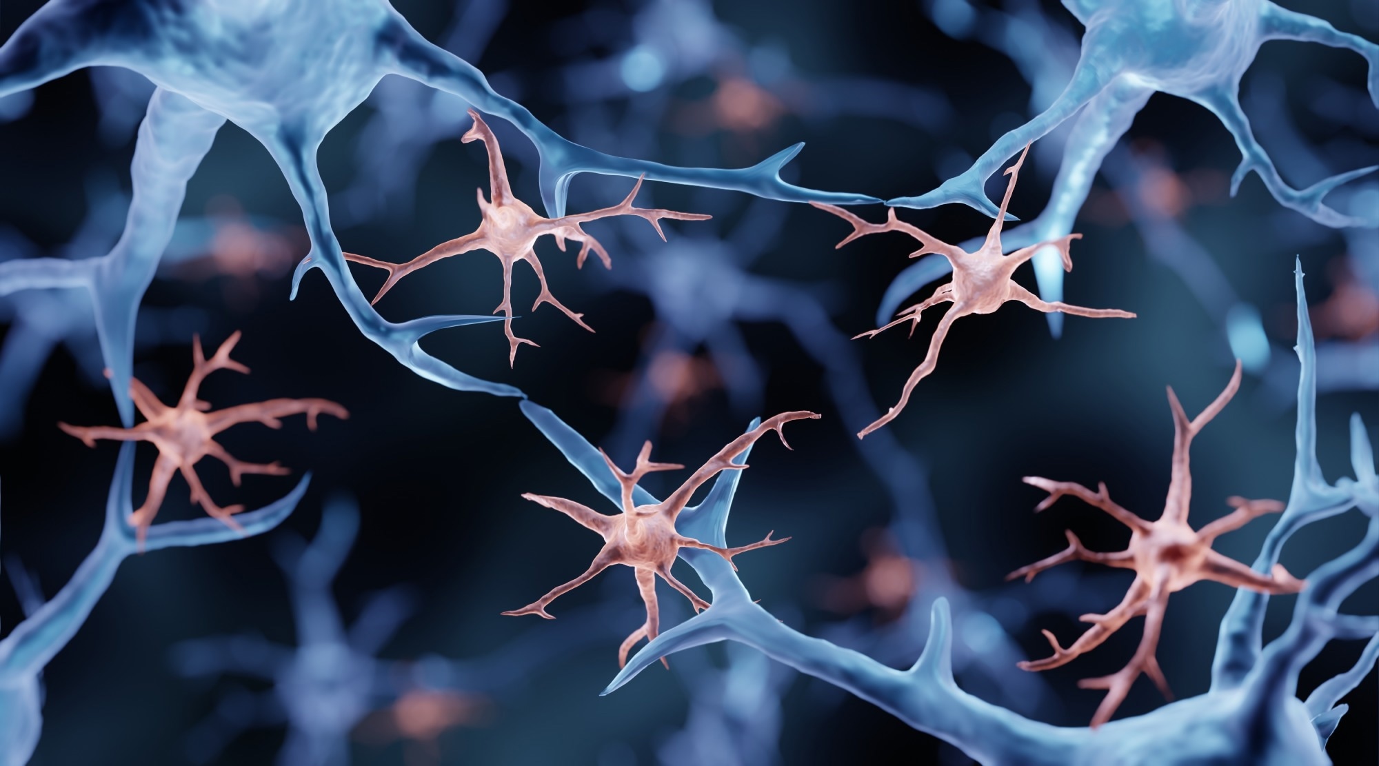 Brain rhythms control microglial response and cytokine expression via NF-κB signaling