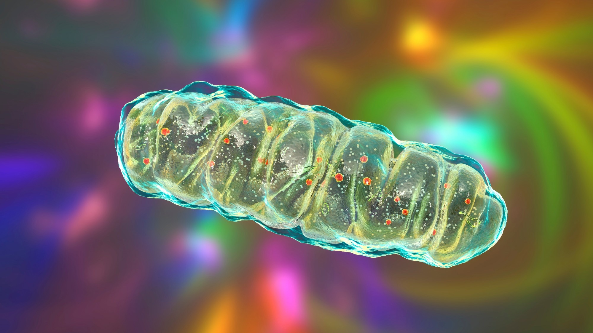 Study: A blood-based marker of mitochondrial DNA damage in Parkinson’s disease. Image Credit: Kateryna Kon / Shutterstock.com
