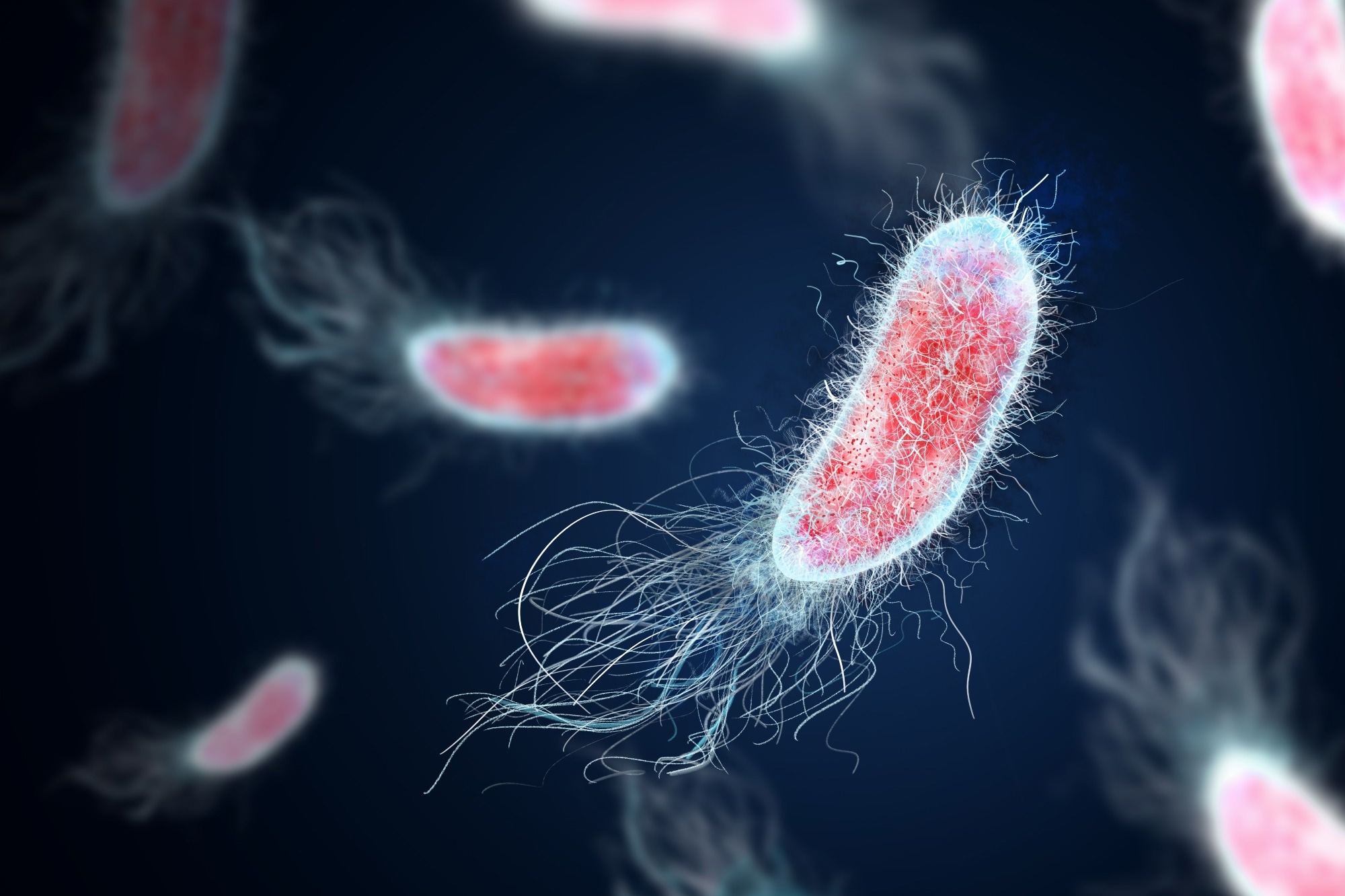 Study: Mood disorders: the gut bacteriome and beyond. Image Credit: New Africa / Shutterstock.com