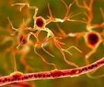 Specialized astrocyte subpopulation discovery sheds light on brain health and treatment avenues