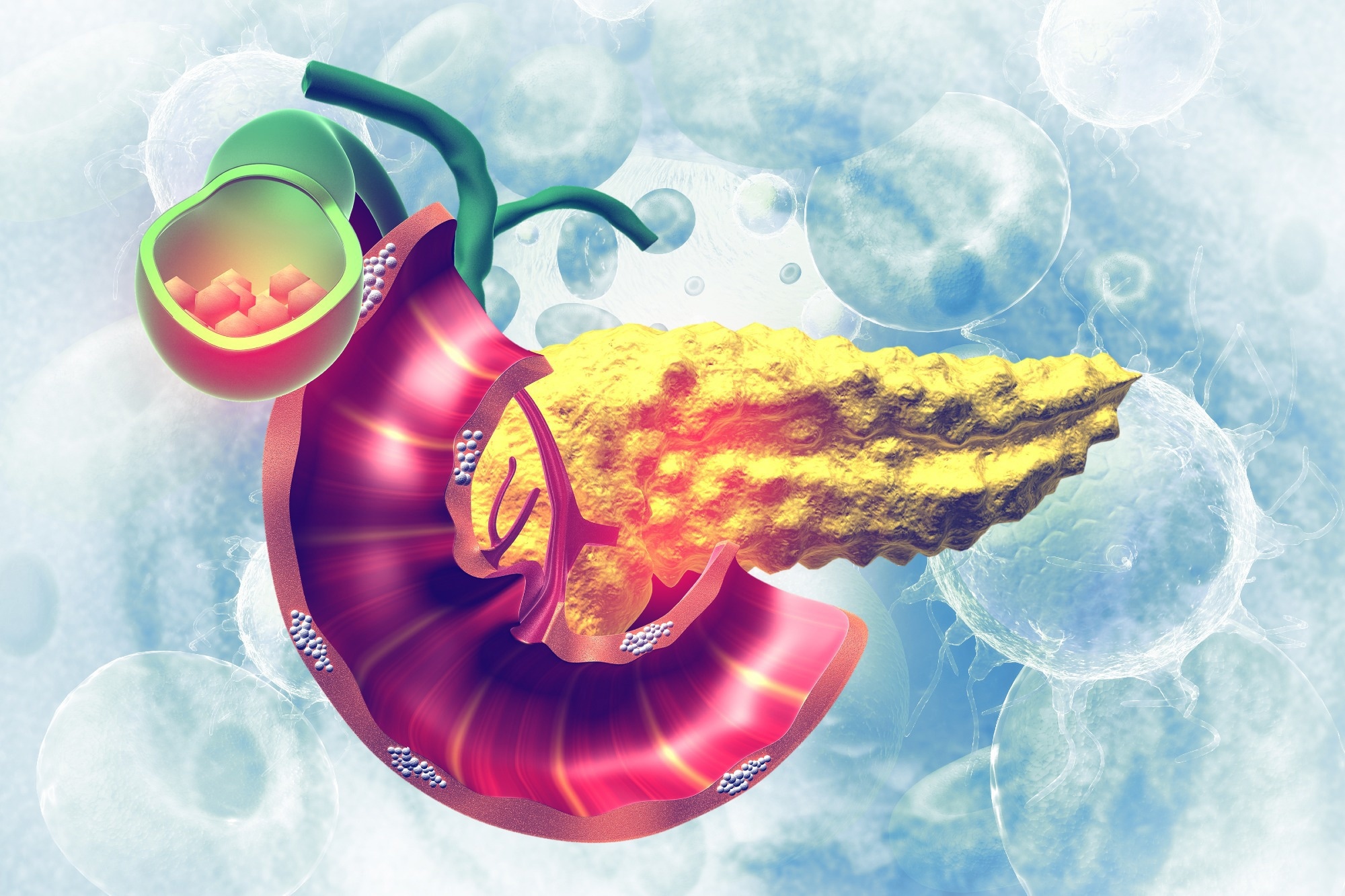 Study: Host Factor PLAC8 is Required for Pancreas Infection by SARS-CoV-2. Image Credit: crystal light / Shutterstock.com