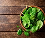 Could spinach extract accelerate wound healing in those with diabetes?