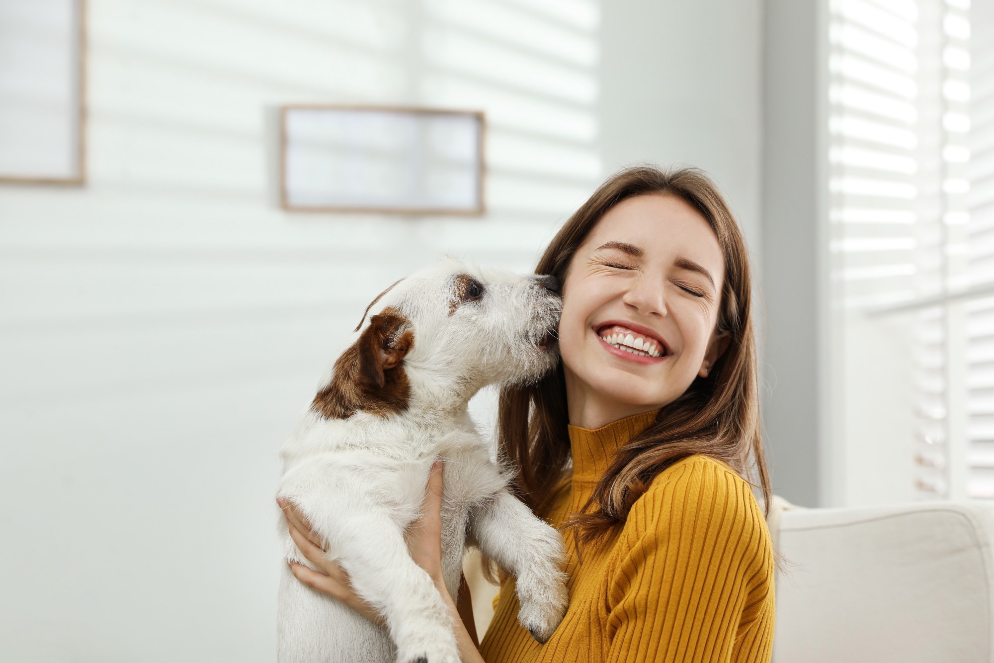 Study: The association between living alone and depressive symptoms and the role of pet ownership among Japanese workers. Image Credit: New Africa/Shutterstock.com
