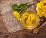 The anti-metastatic and anti-proliferation impact of dandelion extract on breast cancer cells