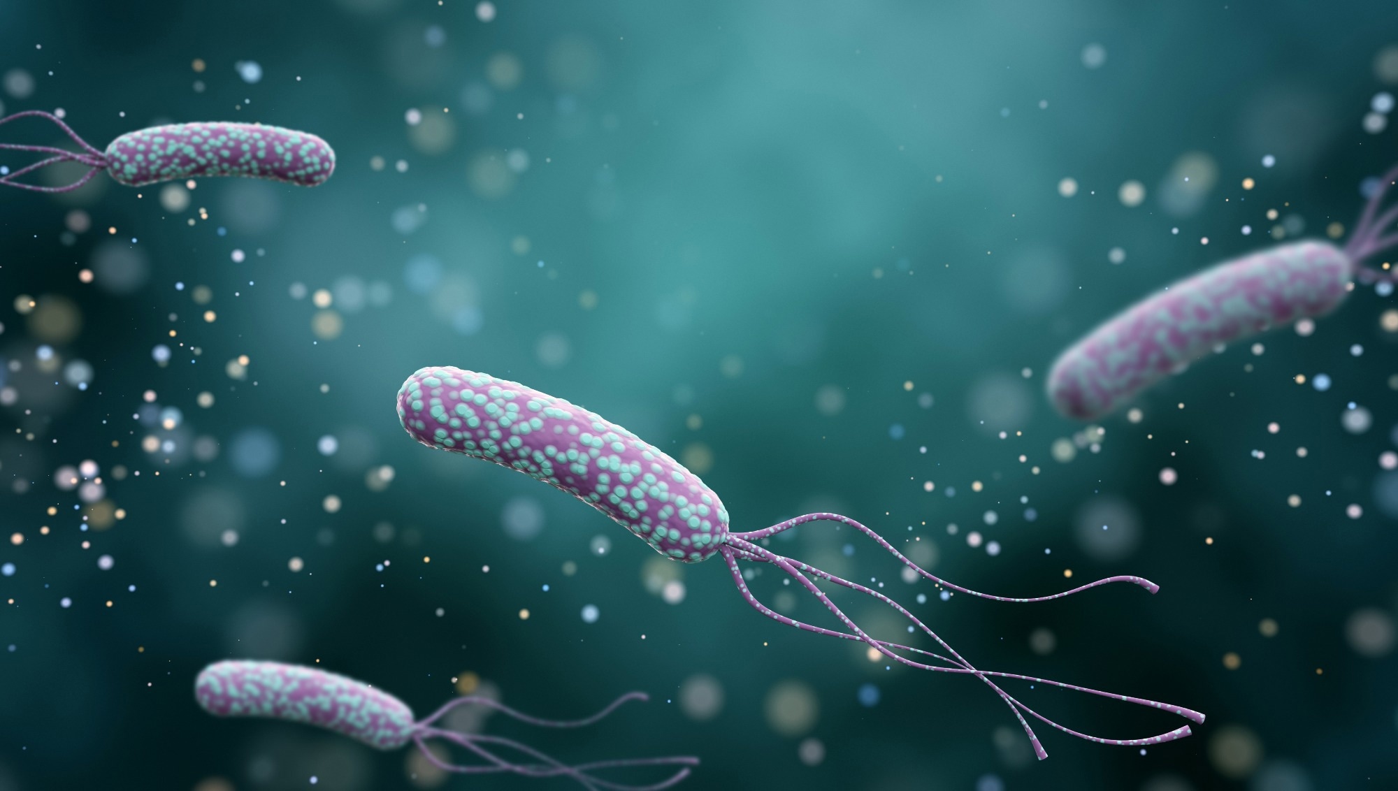 Study: Influence of Helicobacter pylori infection on risk of rheumatoid arthritis: a nationwide population-based study. Image Credit: K_E_N/Shutterstock.com