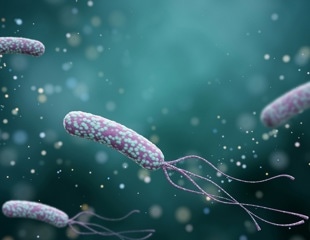 How does Helicobacter pylori infection influence rheumatoid arthritis?