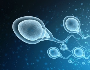 Researchers identify a rare cause of male infertility and discover a potential cure