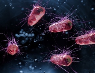Hospital wastewater teeming with antibiotic-resistant genes, poses infection risk