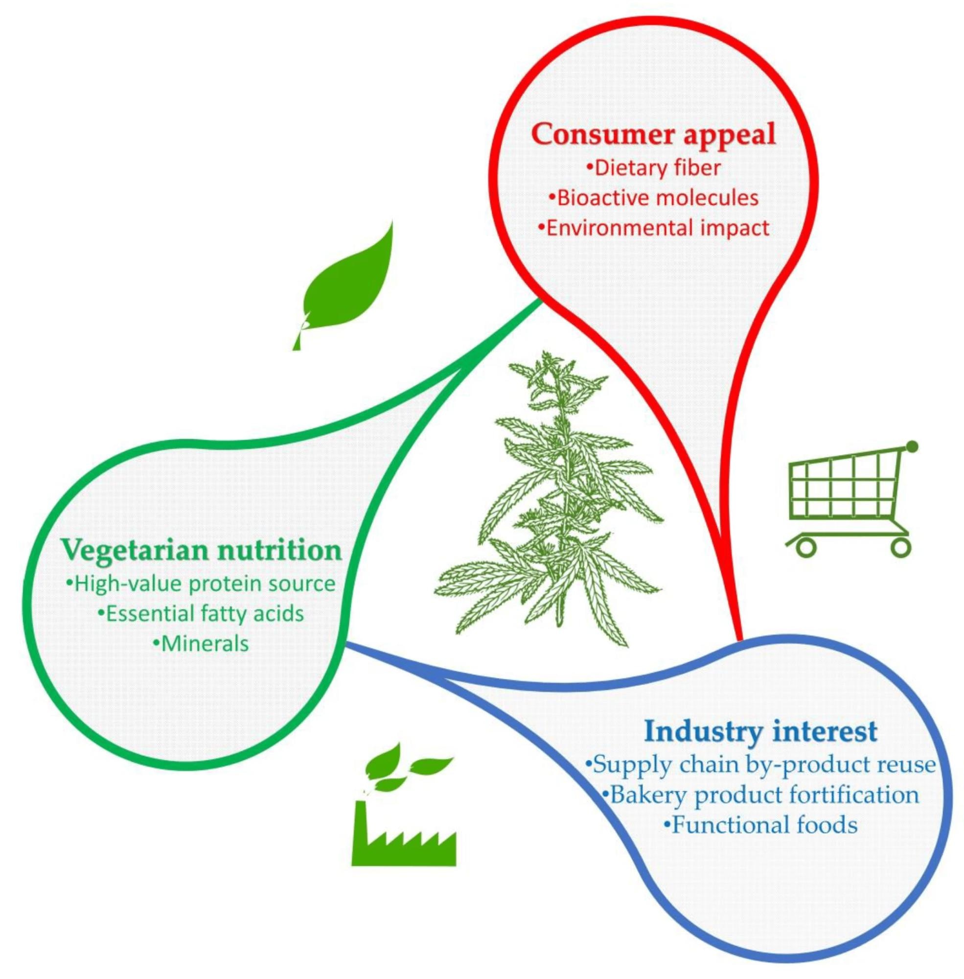 Graphical representation of promising hemp use.