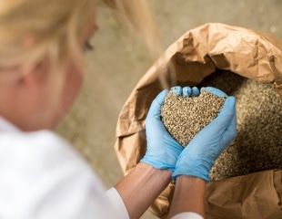Is hemp the superfood vegetarians have been waiting for?