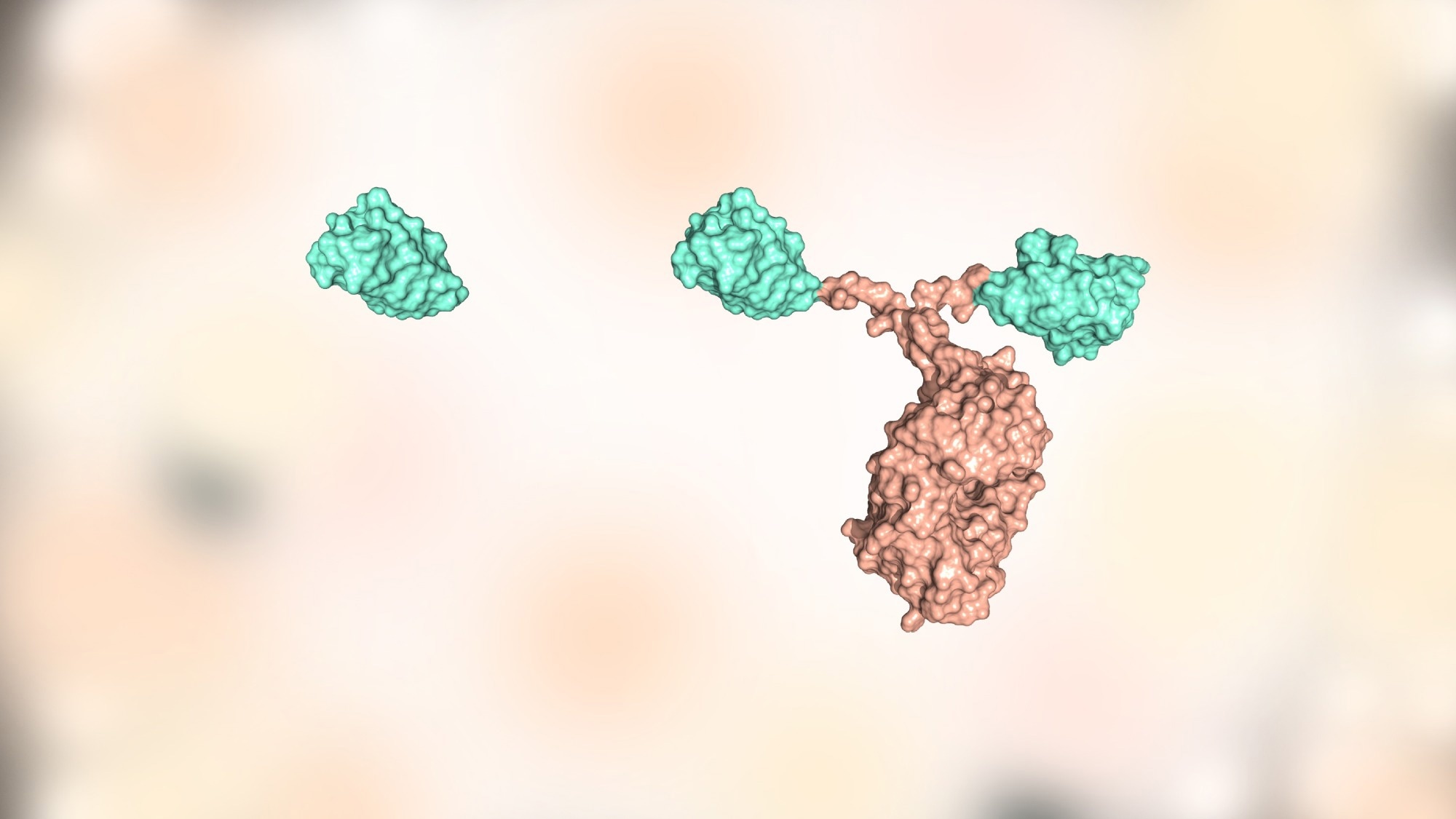 Study: SARS-CoV-2 antibodies recognize 23 distinct epitopic sites on the receptor binding domain. Image Credit: Huen Structure Bio/Shutterstock.com
