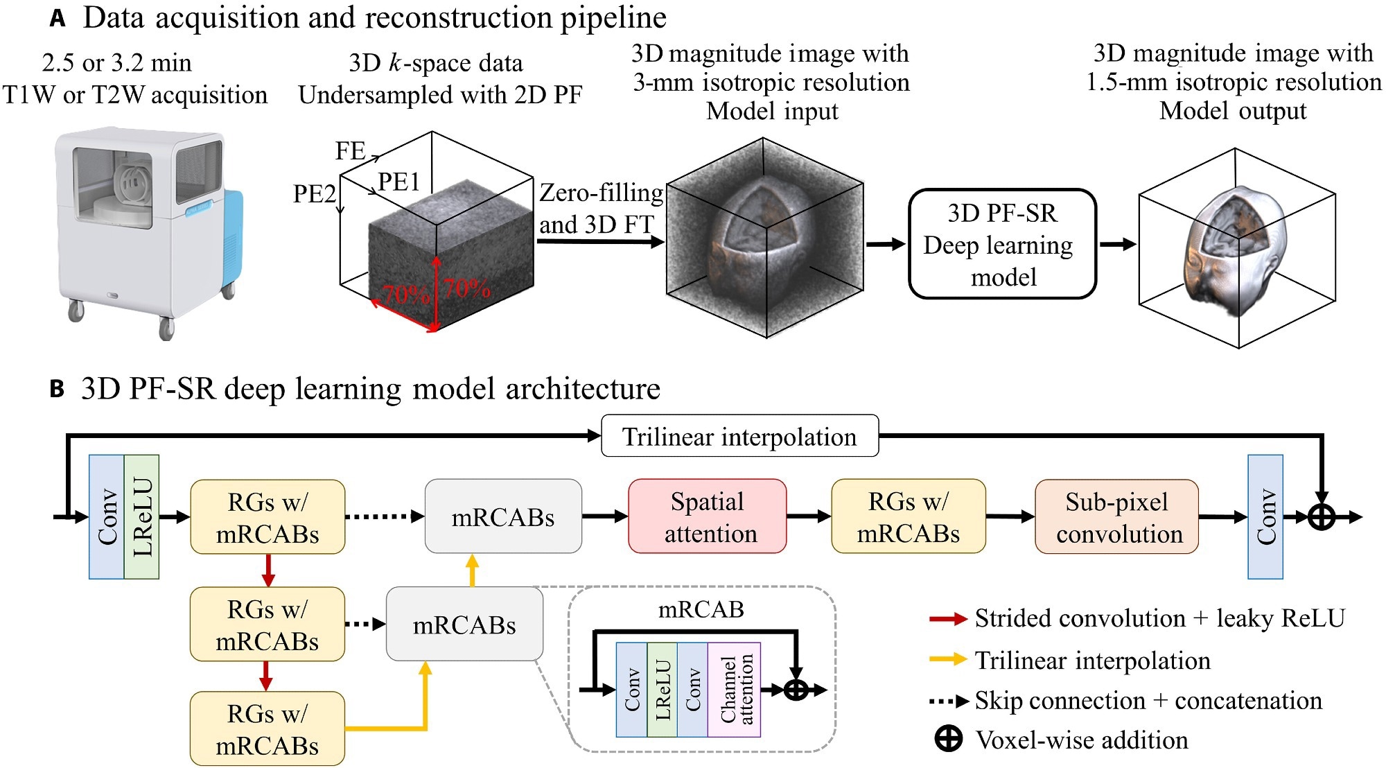 Data acquisition and DL reconstruction pipeline for fast ULF isotropic 3D brain MRI at 0.055 T. (A) Unlike typical ULF scans that acquire multiple NEXs, the proposed acquisition scheme acquires a single NEX, together with 2D PF sampling of a PF fraction of 0.7 in each of the two PE directions, in the FSE protocols for both T1W and T2W contrasts. The scan time is 2.5 and 3.2 min for T1W and T2W contrasts, respectively. The 3D data are then reconstructed by an end-to-end 3D DL model, which learns a residue between the high-resolution image and the interpolated low-resolution image. (B) The overall architecture of the DL 3D PF-SR reconstruction model. It is composed of residual groups (RGs) with modified residual channel attention blocks (mRCABs), multiscale feature extraction, spatial attention, and subpixel convolution. 3D convolution layer allows the effective extraction of 3D brain structural features. Multiscale feature extraction learns local features at the top-scale level and semiglobal features at the middle- to bottom-scale level. Spatial attention exploits the interspatial relationships by modulating the extracted features, which are then upsampled to the high-resolution space via subpixel convolution and transformed into a 3D image residue through a convolution layer. The final 3D image is formed by voxel-wise addition of the 3D image residue and the interpolated low-resolution image.