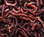 Earthworms boost global crop production by 140 million tons