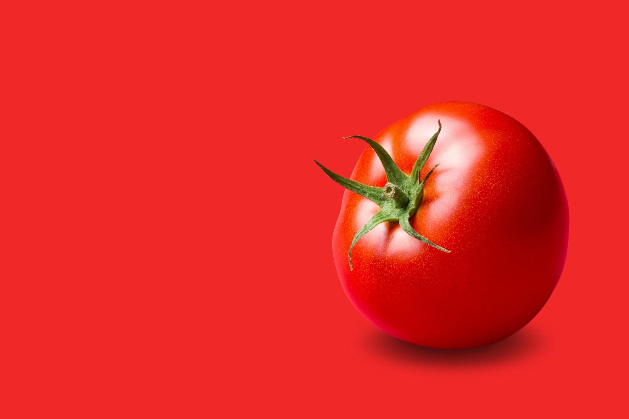 Study: Dually biofortified cisgenic tomatoes with increased flavonoids and branched-chain amino acids content. Image Credit: AnEduard / Shutterstock