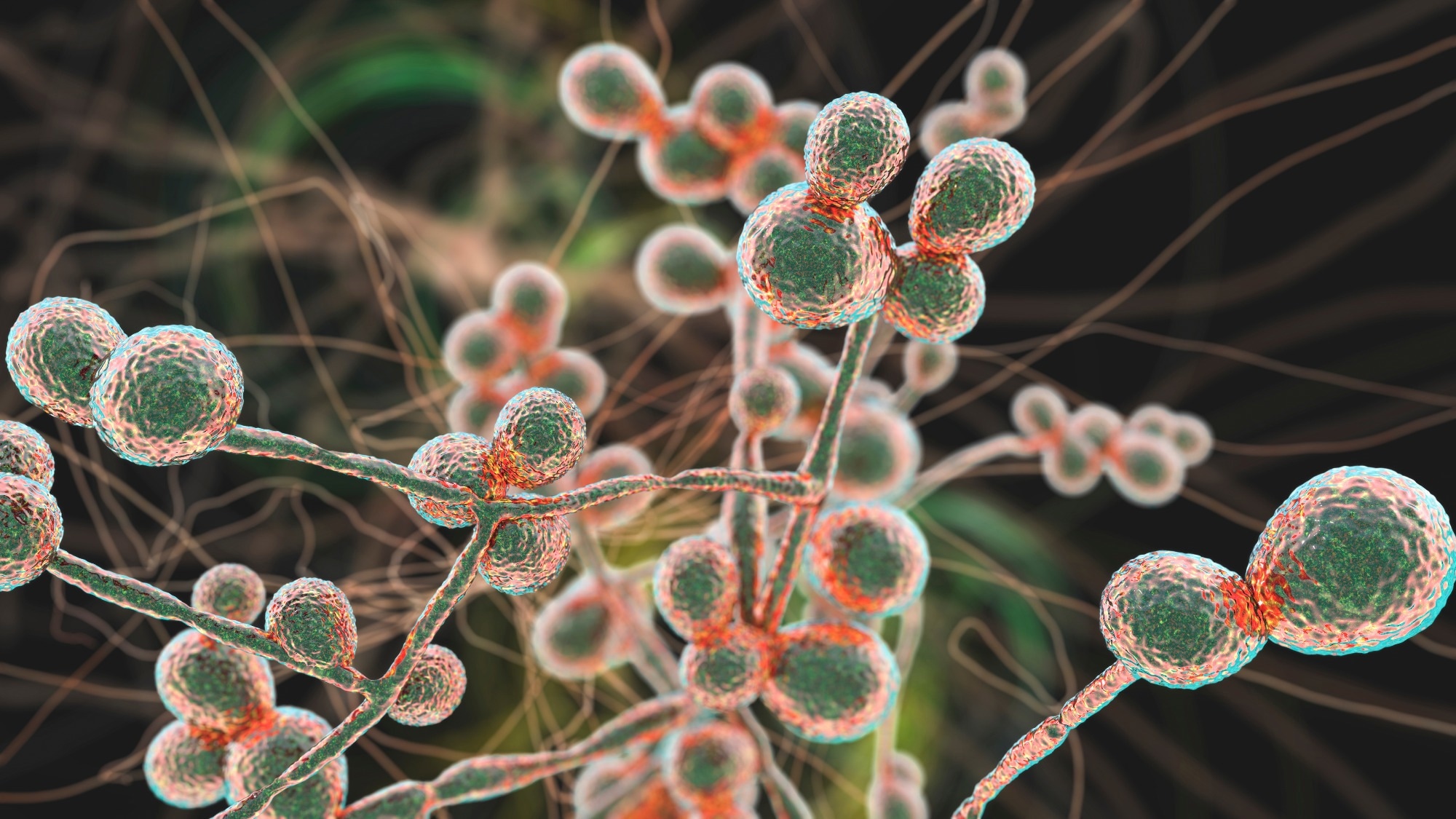 Study: Selection of cross-reactive T cells by commensal and food-derived yeasts drives cytotoxic TH1 cell responses in Crohn’s disease. Image Credit: Kateryna Kon / Shutterstock.com