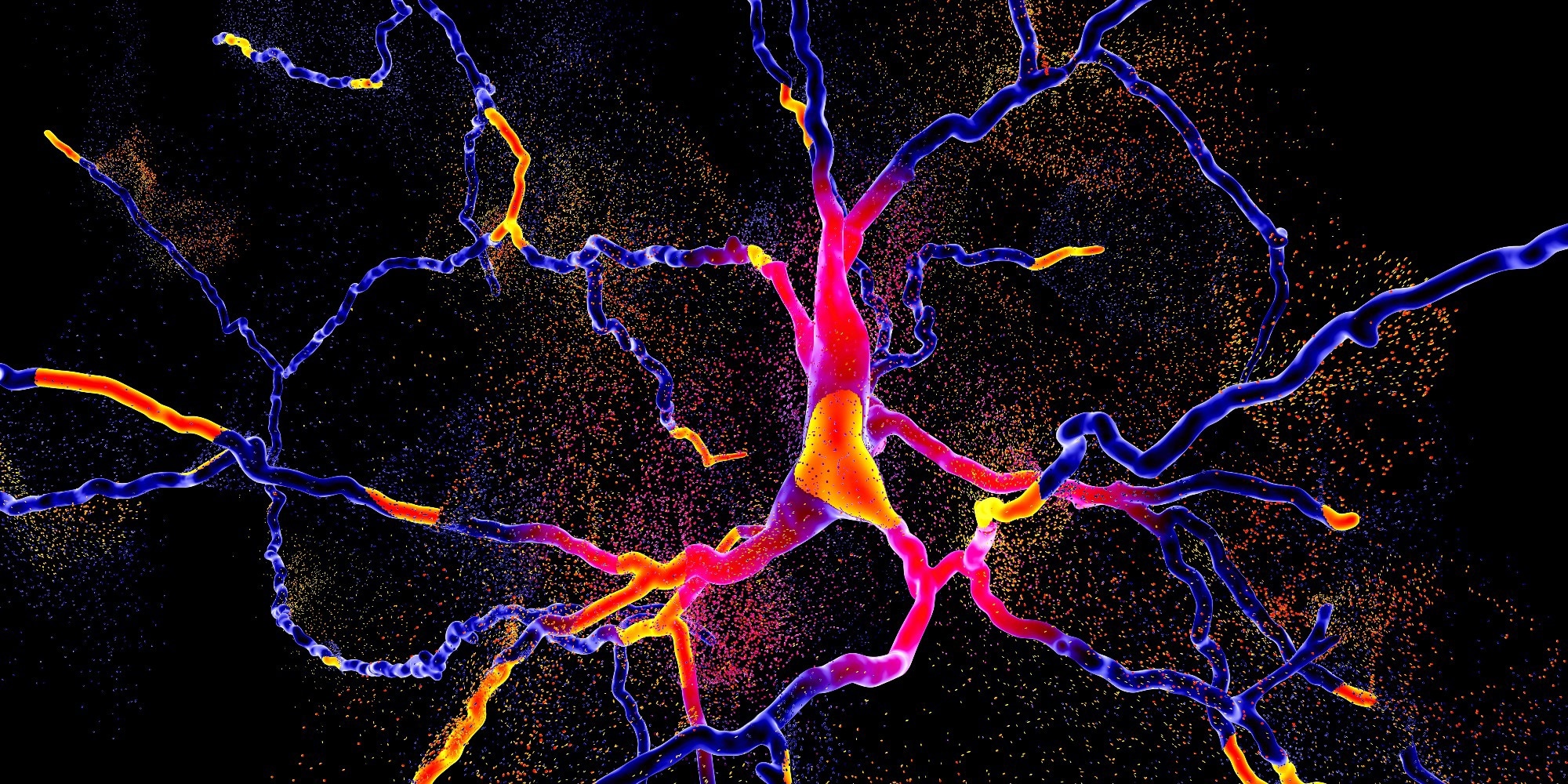 Unveiling the role of astrocyte-derived LCN2 in neurodegenerative disease progression