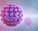 Is HPV infection a hidden risk factor for prostate cancer?