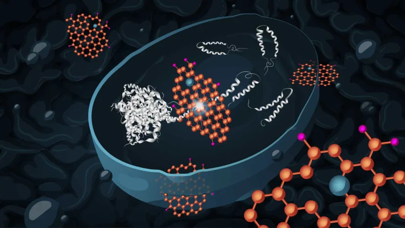 Graphene oxide offers a promising new approach to treating Alzheimer