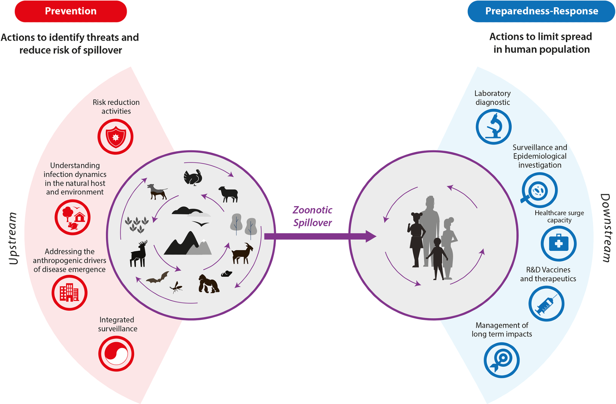 Prevention of zoonotic spillover: From relying on response to reducing the risk at source