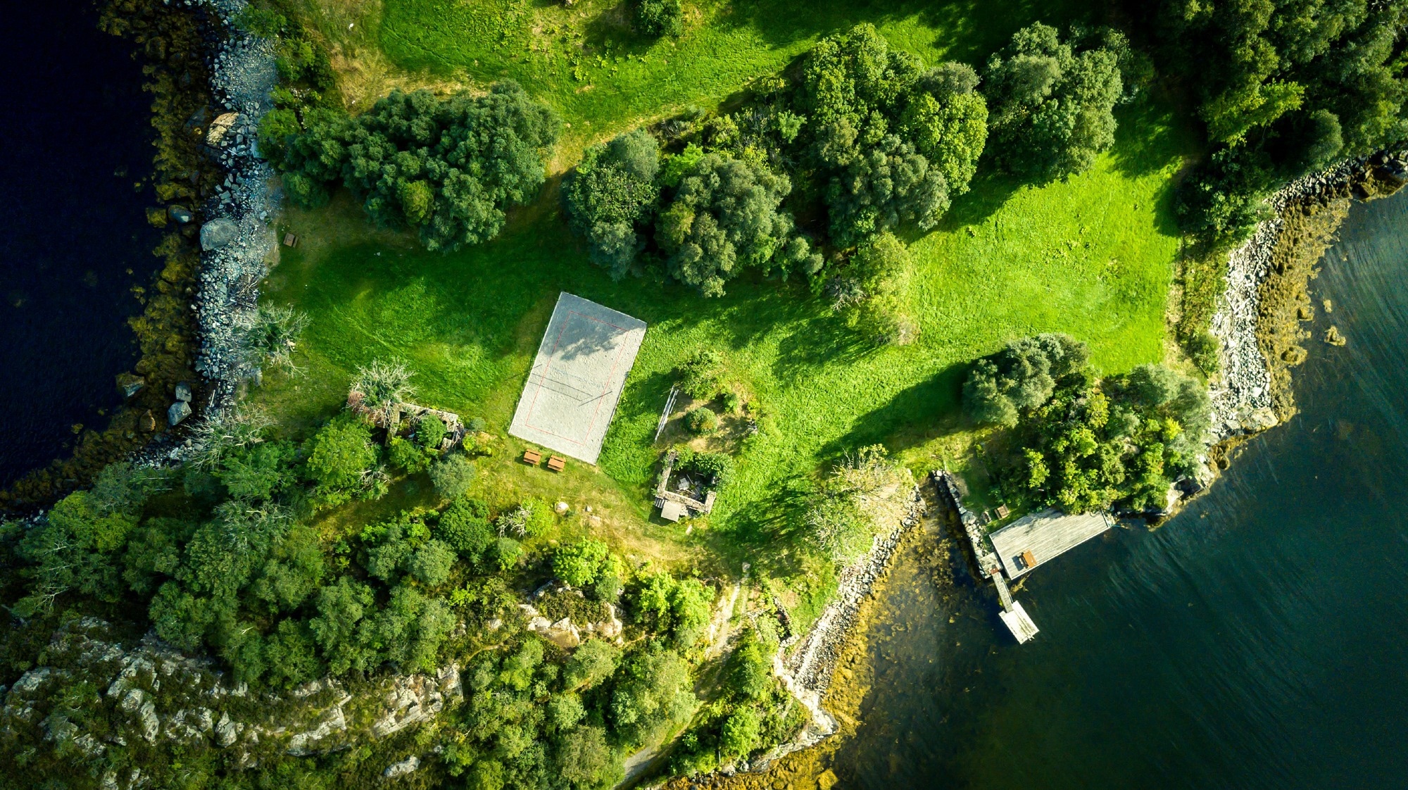 Study: Ambient greenness, access to local green spaces, and subsequent mental health: a 10-year longitudinal dynamic panel study of 2·3 million adults in Wales. Image Credit: Dmitrijs Bindemanis / Shutterstock