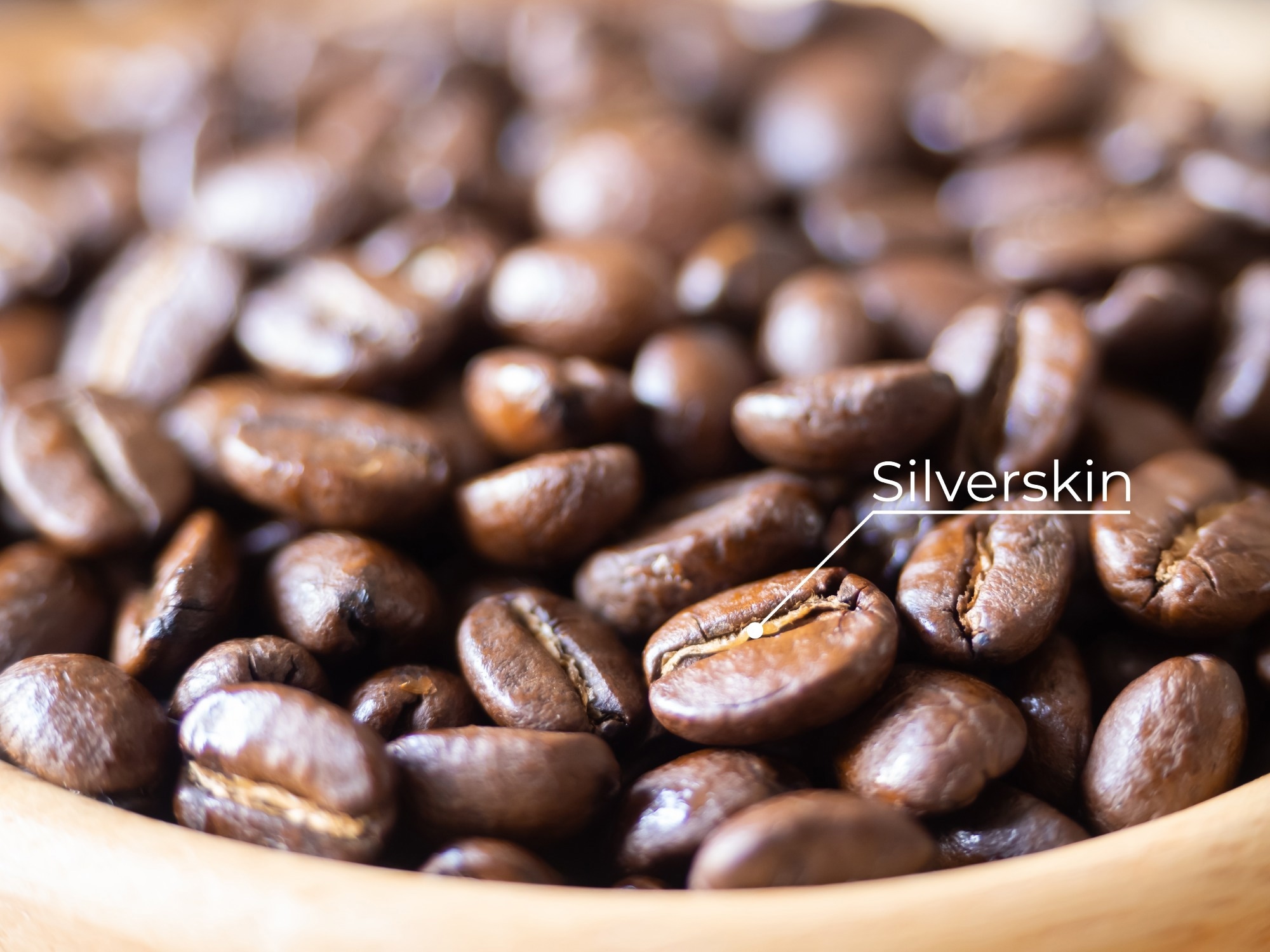 Study: Plant compounds of silver coffee as a new anti-aging functional food: a pharmacoinformatic approach combined with an in vitro study.  Image credit: Benjavisa Ruangvaree Art/Shutterstock.com
