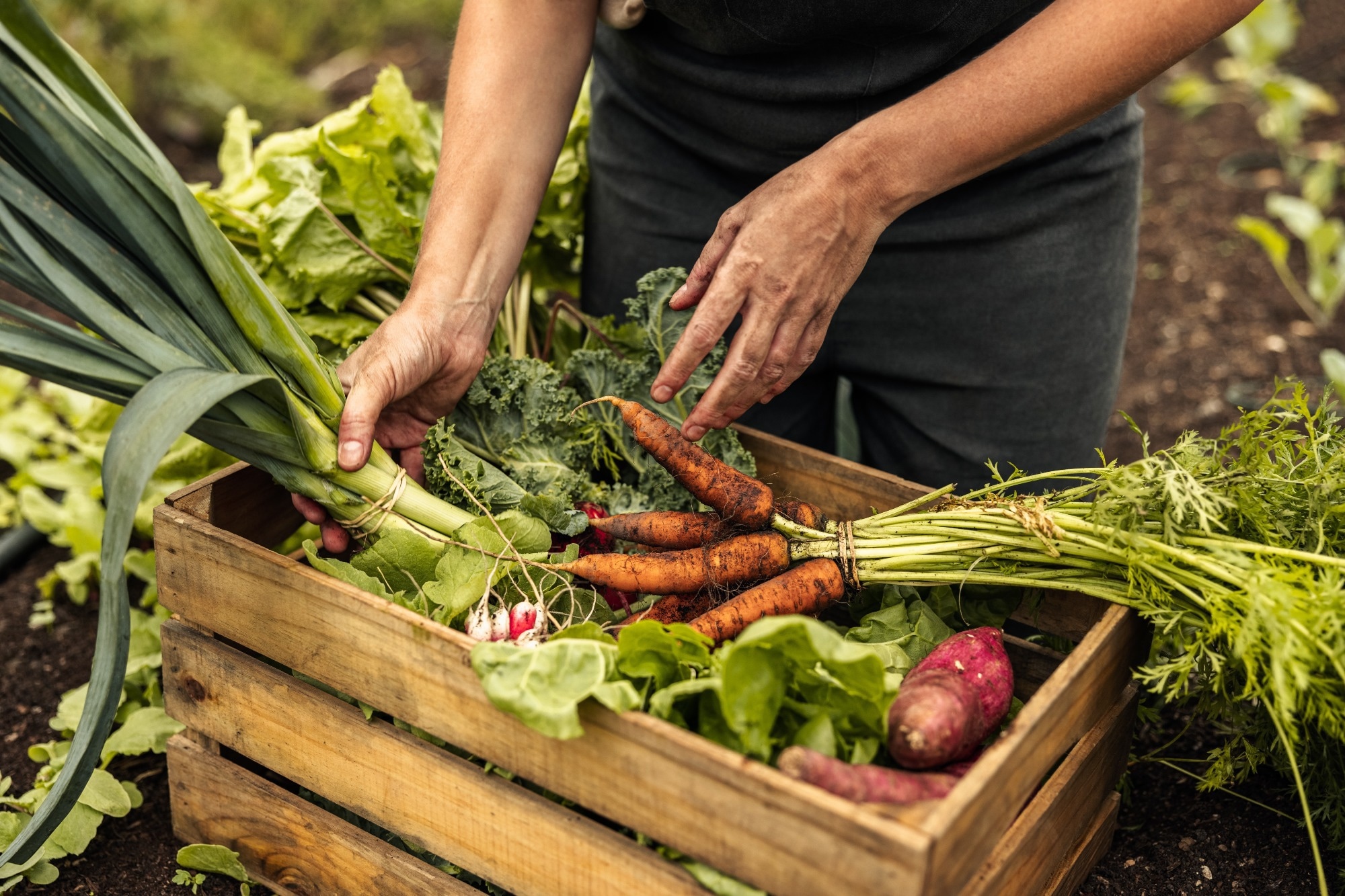 Study: Simple dietary substitutions can reduce carbon footprints and improve dietary quality across diverse segments of the US population. Image Credit: Jacob Lund/Shutterstock.com