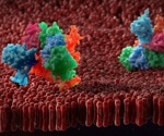 Empowering oncology research: Transmembrane proteins and cutting-edge production platforms