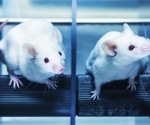 Developing a synthetic pathology framework: A step towards replacing animal testing