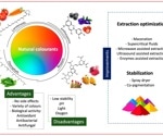 Exploring nature's palette: The promising future of natural food colorants