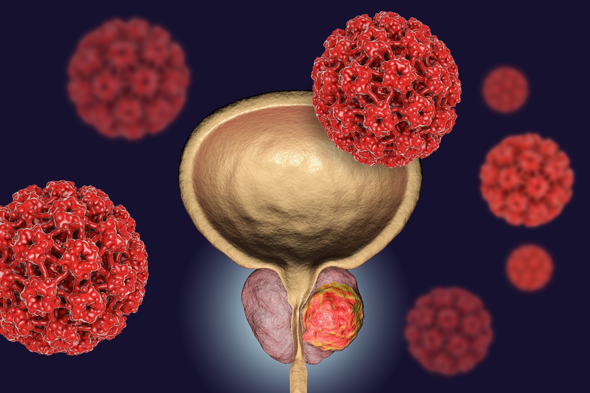 Review: Decoding the Influence of Obesity on Prostate Cancer and Its Transgenerational Impact. Image Credit: Kateryna Kon / Shutterstock