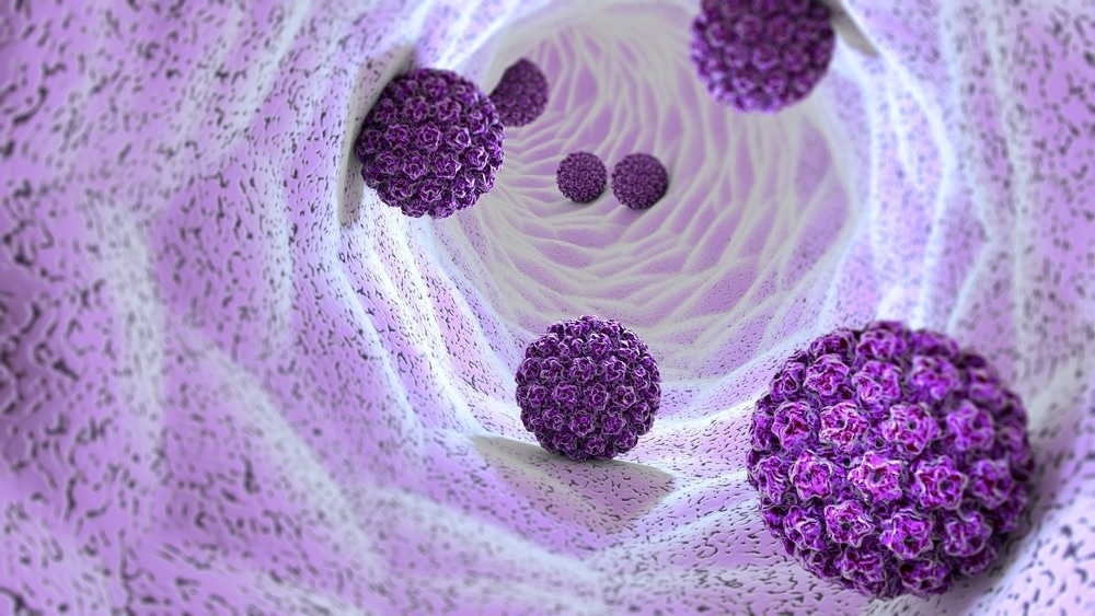 Study: Strategies to Increase Cervical Cancer Screening With Mailed Human Papillomavirus Self-Sampling Kits A Randomized Clinical Trial. Image Credit: Naeblys/Shutterstock.com