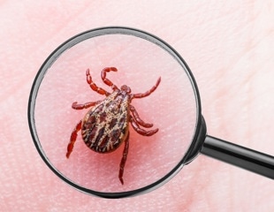 Lyme disease aftercare: new insights into persistent symptoms