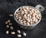 Simple bean diet intervention demonstrates significant prebiotic effects