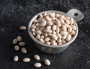 Simple bean diet intervention demonstrates significant prebiotic effects