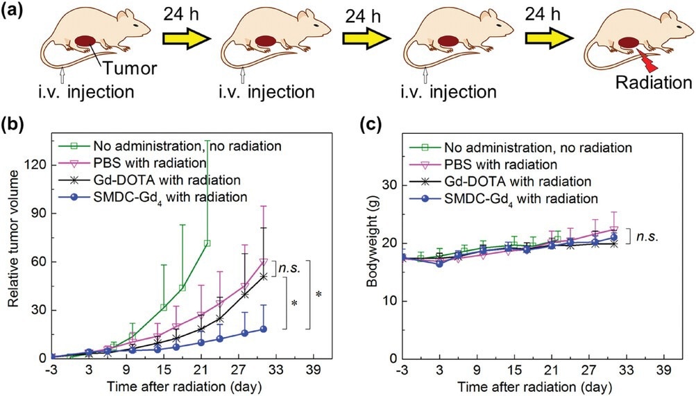 Anti-tumor effect of SMDC-Gd4 in Gd-NCT against CT26 tumor-bearing mice. a) Schematic illustration of the therapeutic regimen for Gd-NCT. Daily injections for three consecutive days were given, followed by thermal neutron irradiation (for 10 min, 5MW, fluence: 2.87 × 1012 to 3.29 × 1012 thermal neutrons cm−2, 5.10 × 1011 to 5.86 × 1011 epithermal neutrons cm−2) directly toward subcutaneous solid tumors 24 h after the last injection. b) Relative tumor volumes in BALB/c mice. SMDC-Gd4 combined with radiation showed a significant anti-tumor effect compared with other groups within 31 days after radiation. Data are shown as mean ± s.d., n = 5, n.s. p ≥ 0.05, ⁎p < 0.05. c) Bodyweight of mice. Data are shown as mean ± s.d., n = 5, n.s. p ≥ 0.05.