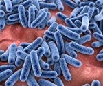 Link between gut dysbiosis and chronic diseases explored in new study