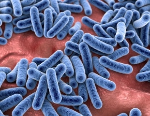 Link between gut dysbiosis and chronic diseases explored in new study