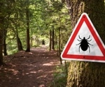 Study exposes racial disparities in Lyme disease diagnosis and treatment times