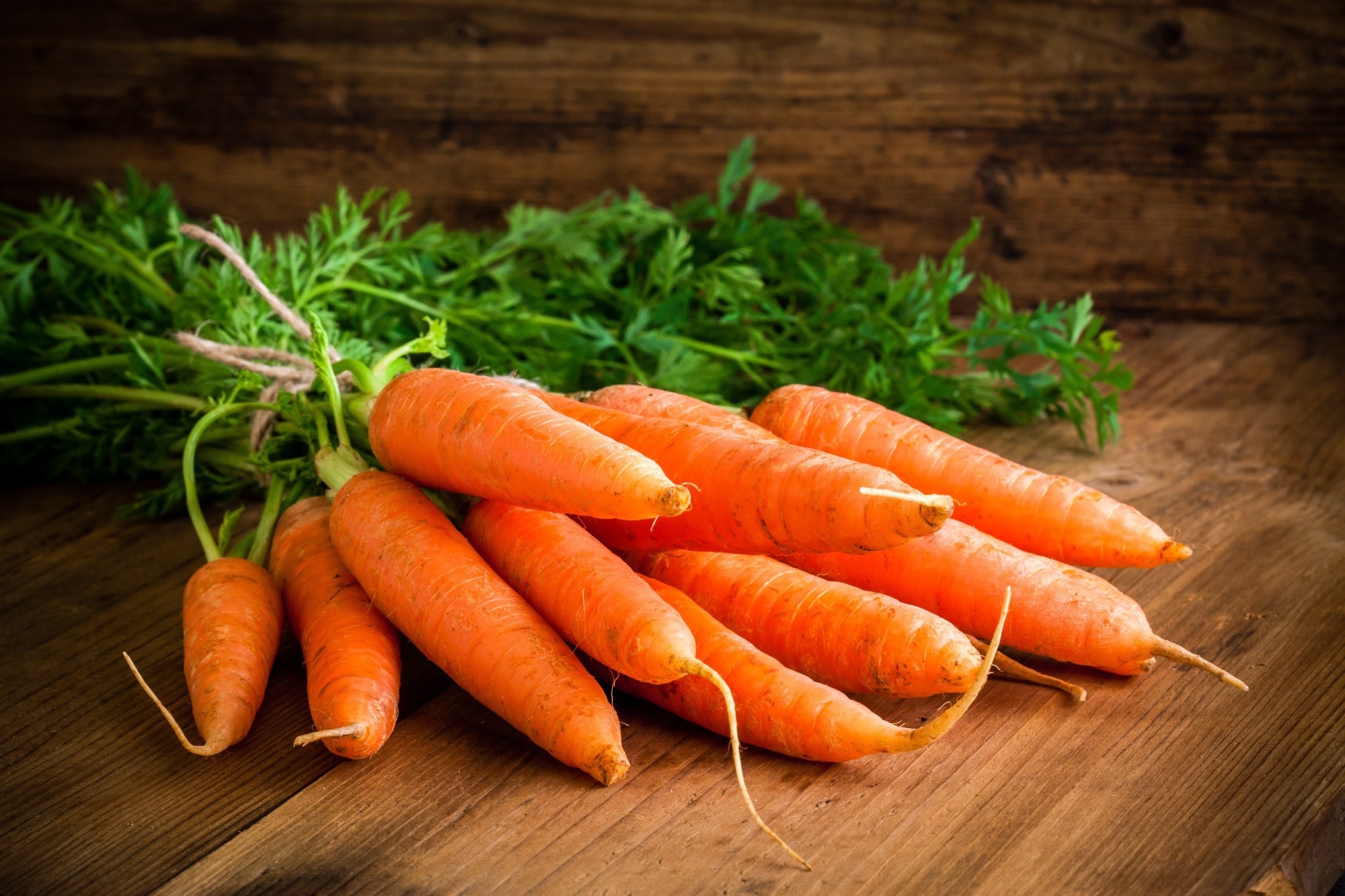 Генетически модифицированная морковь, производящая белок низин, перспективна в качестве натурального пищевого консерванта.