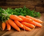 Transgenic carrots producing nisin protein show promise as natural food preservatives