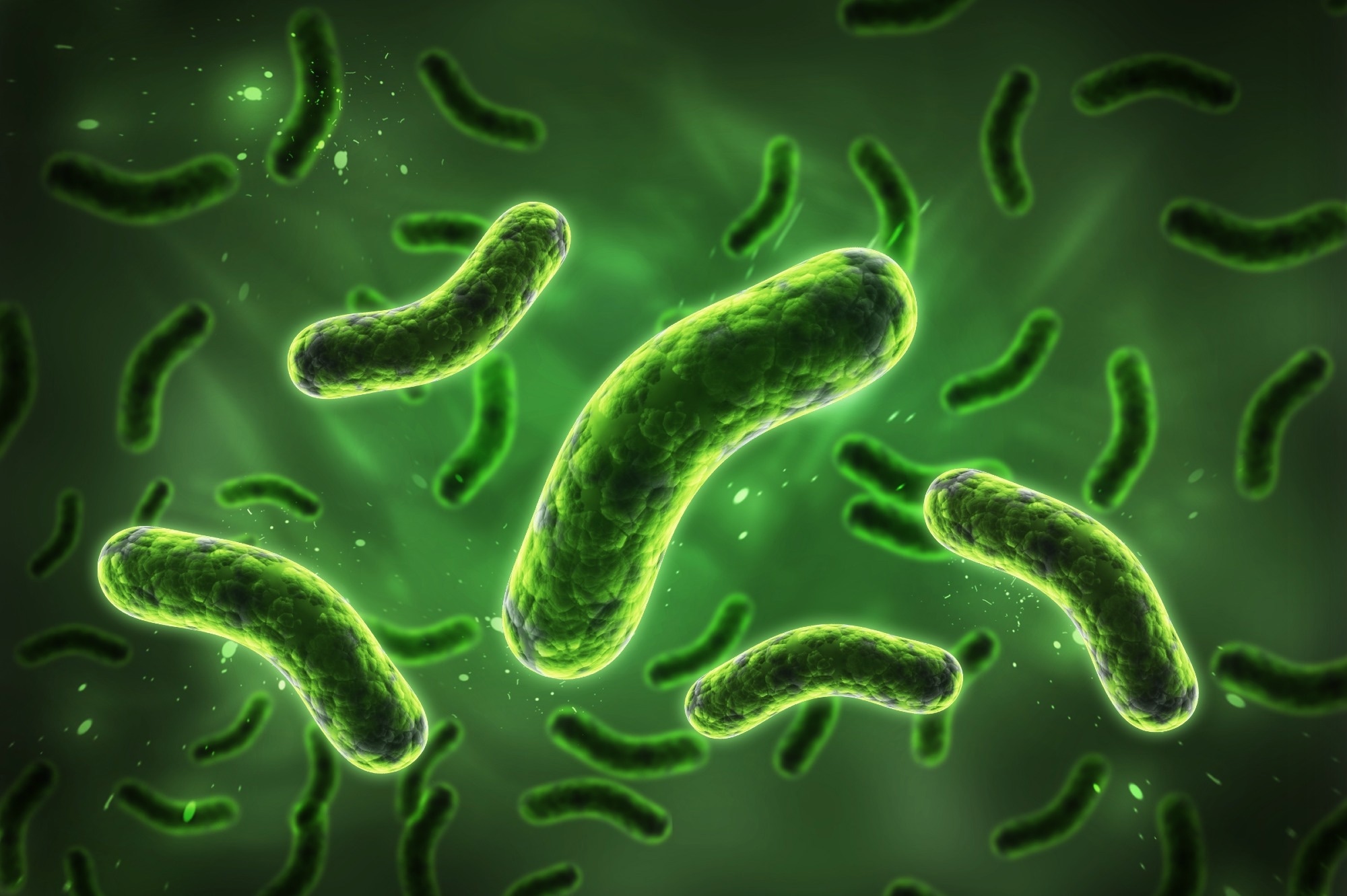 Study: Microbiota-Induced Epigenetic Alterations in Depressive Disorders Are Targets for Nutritional and Probiotic Therapies. Image Credit: RAJ CREATIONSZ / Shutterstock.com
