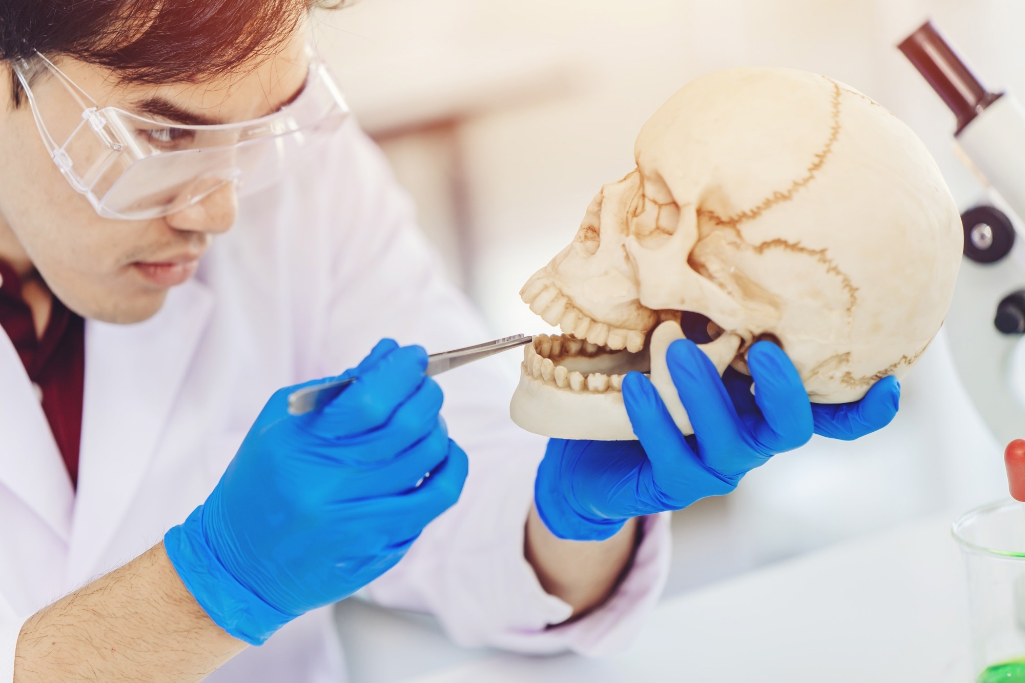 Study: Caries prevalence and other dental pathological conditions in Vikings from Varnhem, Sweden. Image Credit: Quality Stock Arts / Shutterstock.com