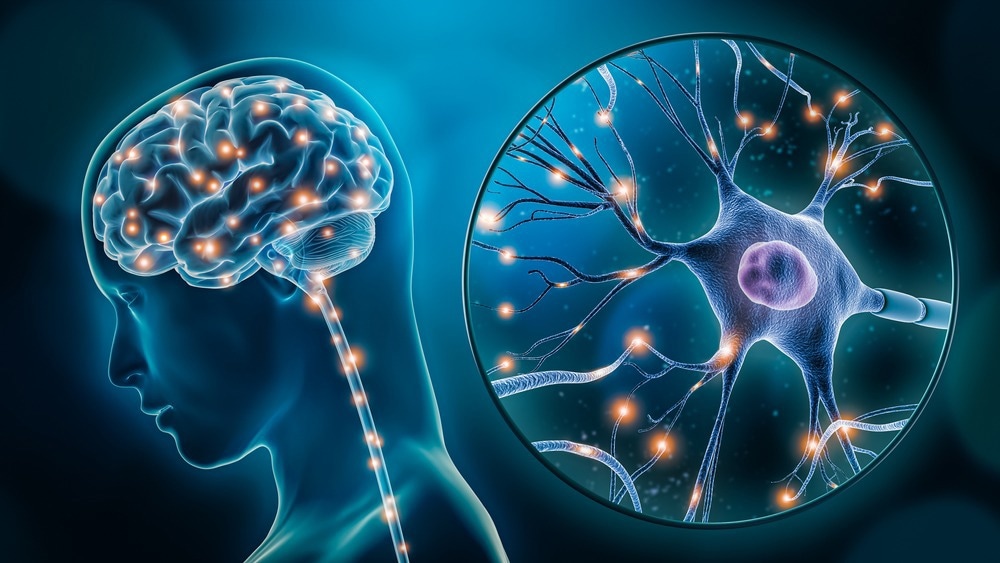 Study: Brain Health After COVID-19, Pneumonia, Myocardial Infarction, or Critical Illness. Image Credit: MattL_Images/Shutterstock.com