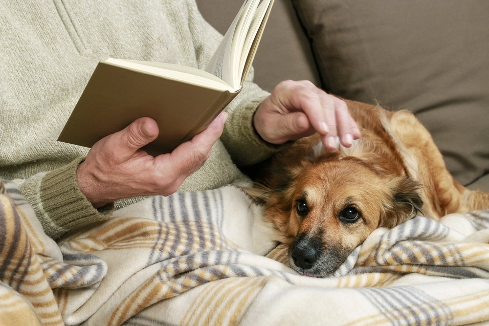 Study: Is pet ownership associated with cognitive decline in older adults, and how does pet ownership mitigate the association between living alone and the rate of cognitive decline? Image Credit: Agnes Kantaruk/Shutterstock.com