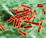 Scientists unveil the hidden respiratory mechanisms of gut bacteria