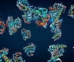 New peptide library paves the way for targeting elusive cancer factor MYC