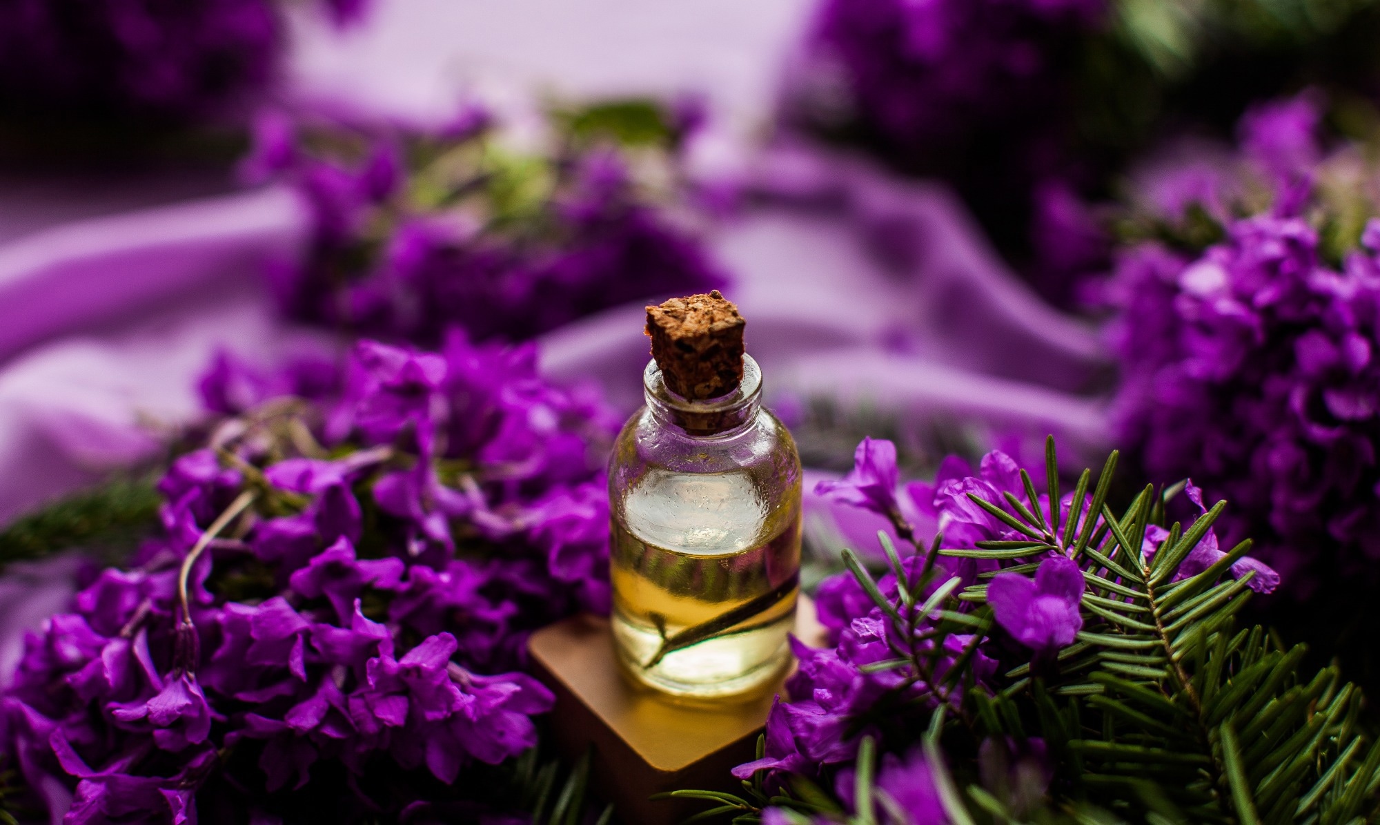 Study: Aromatic oil from lavender as an atopic dermatitis suppressant. Image Credit: PhotoStockPhoto / Shutterstock
